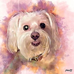 Meet your Posher, Angelle